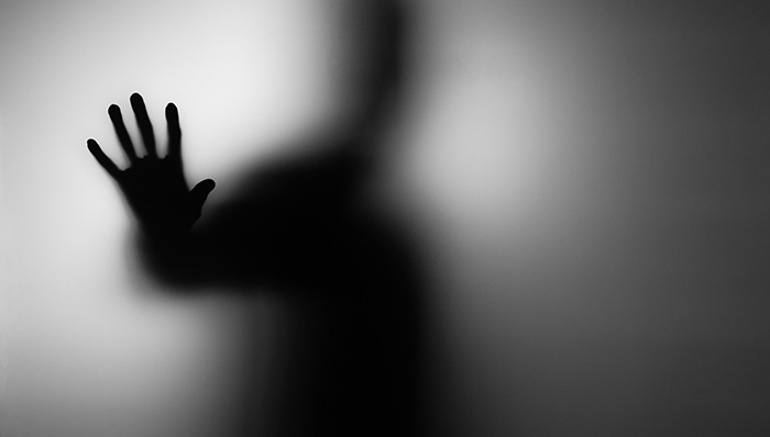 港股,新高教,集团,做空