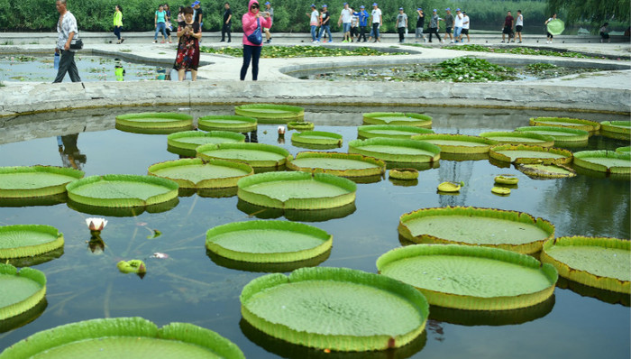 华北旅游：文化引领创新