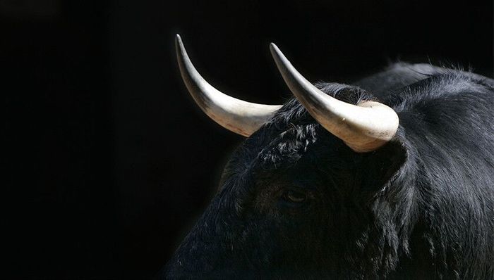 券商吹响“牛市号角”：行情强势背后逻辑揭秘