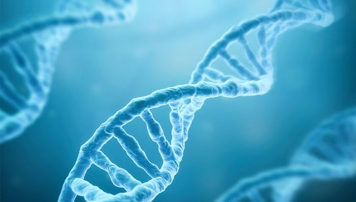 【界面晚报】A股散户跑步进场 基因编辑疗法迈出历史性一步