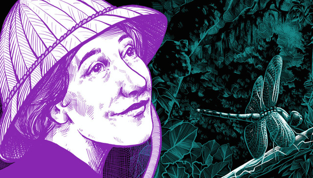 蝴蝶与妇道：博物历史上的性别歧视