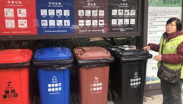 垃圾分类,青浦,志愿者,绿色账户