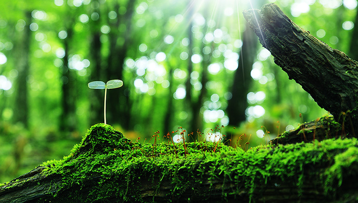 党的纲领,花果城,怠政,贺兰山国家级自然保护区,生态环境损害,环境执法,环境违法,,,饮用水水源地