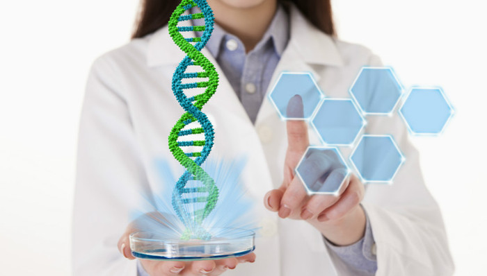 编辑工具,基因扩增,计算生物学,碱基突变,基因变异,编辑技术,小鼠胚胎,安全评估,细胞,藏身