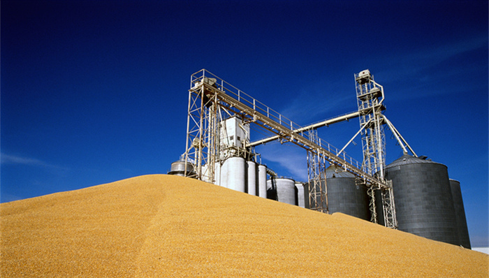 粮食,粮食安全,大清查