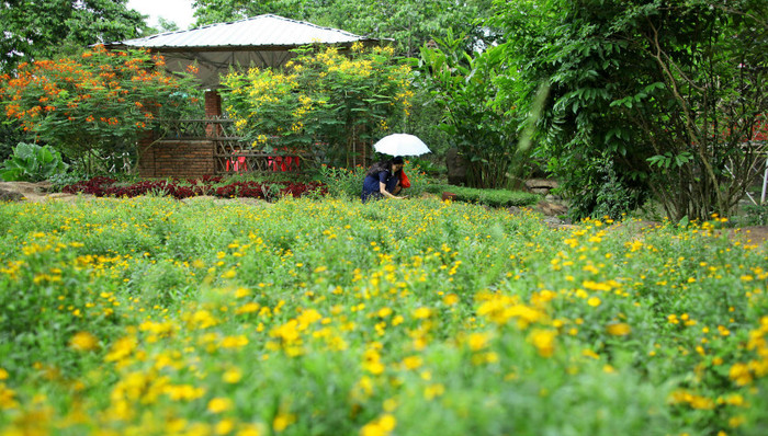 中国旅游创品牌：乡村游 有土味更有品位