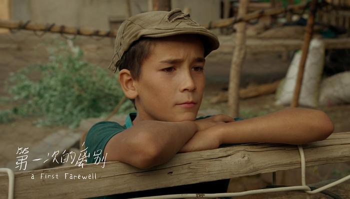 大象点映也要扶持青年导演了，未来5年要拍15部新作