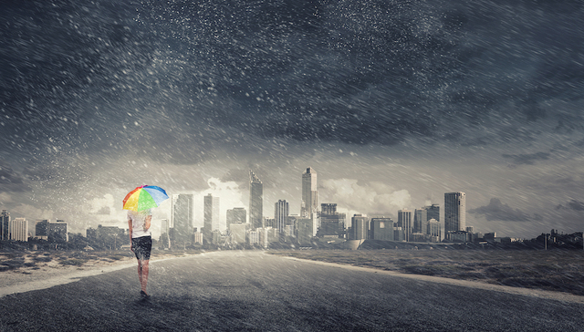 女性,创业,董事长,匠心,团队,行动,开放式学习,道德经,协同