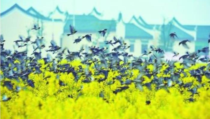 生态文明,美景,生态环境保护,自然生态,生态状况,定力,六项原则,人间,坚持党的领导,求生存