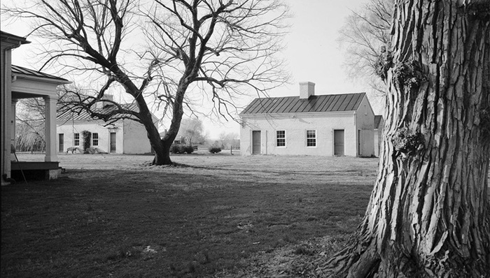女性,历史,书评