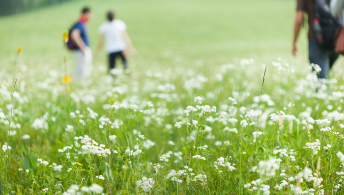 春游中国有了新看点 跟着古诗词去旅游