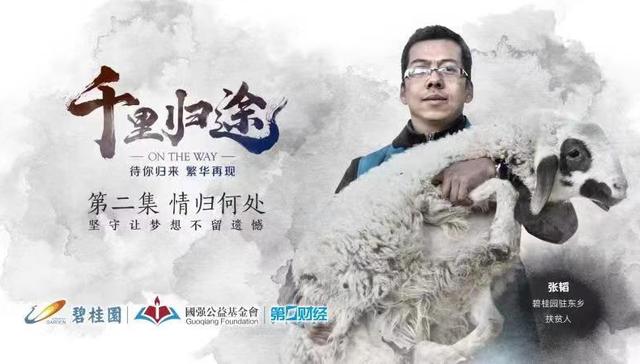 千里归途 | 脚步丈量黄土，心系大山的“牧羊人”情归何处