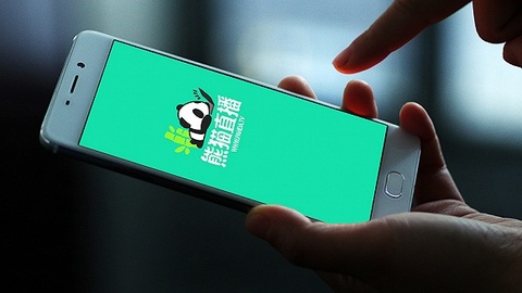 【深度】熊猫谢幕：一场王思聪也无力翻盘的直播赛事