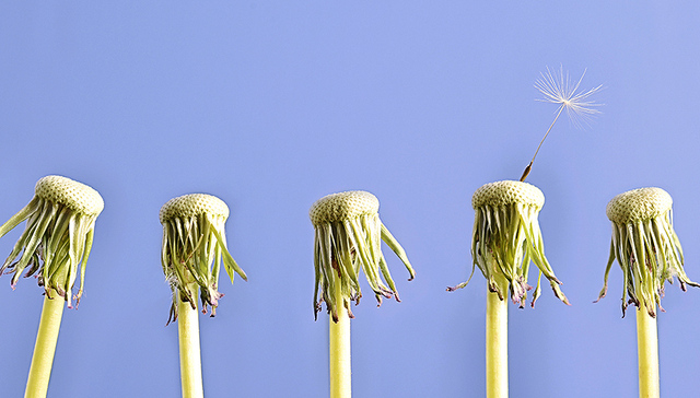 快消,巨头,移动互联网,移动电商