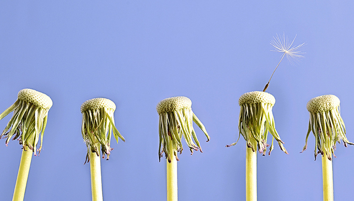 快消,巨头,移动互联网,移动电商
