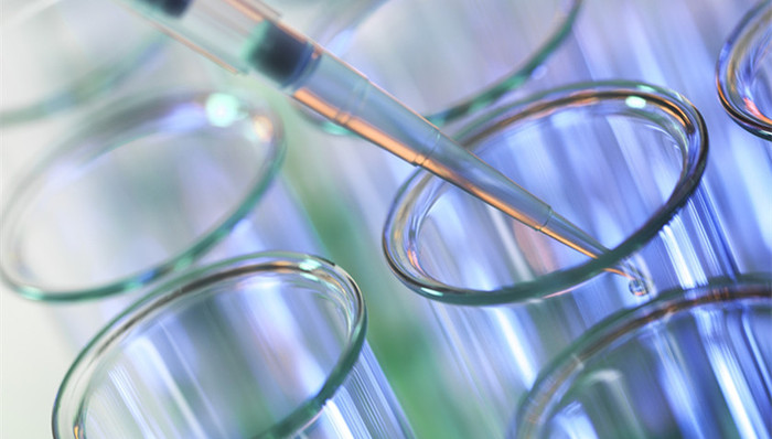 科技部,基础研究,科研经费