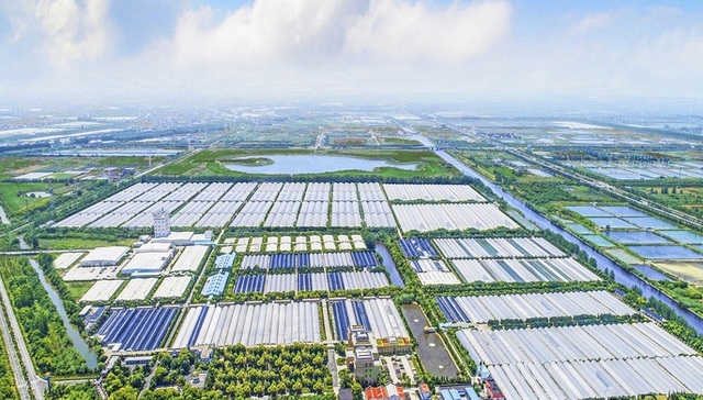 落户黄浦后，这家民企说：想到想不到的，都有区里人帮“跑腿”