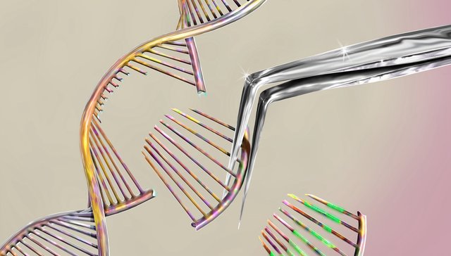 科学家在《自然》杂志刊联名信呼吁暂停所有生殖系基因编辑