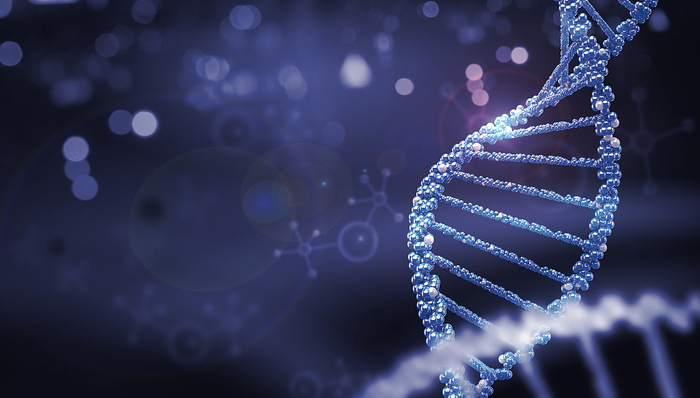 【3·15特别报道】4万元理疗仪“小神吹”用太赫兹技术治多种病？中科院院士：治病是胡闹