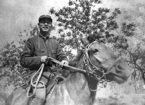 彭雪枫,彭小枫,第五团,虎胆,文武兼备,将军,敌后游击战,部队,红星奖章,特使