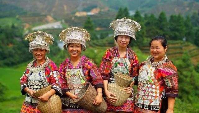 朱登云,羊倌,养殖,返乡,专业合作社,一条龙,农产品,靖州苗族侗族自治县,种植,苗寨