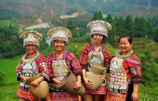 朱登云,羊倌,养殖,返乡,专业合作社,一条龙,农产品,靖州苗族侗族自治县,种植,苗寨