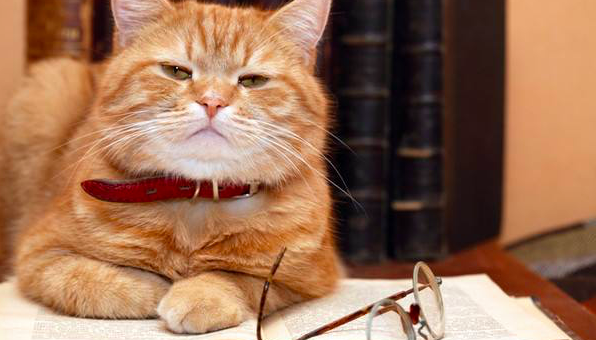 【一周新书推荐】结束一场革命很可能比发起一场革命还要艰难