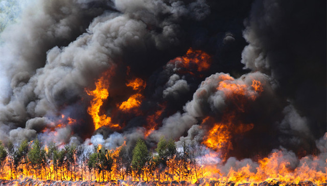 山西沁源,森林火灾,消防队员