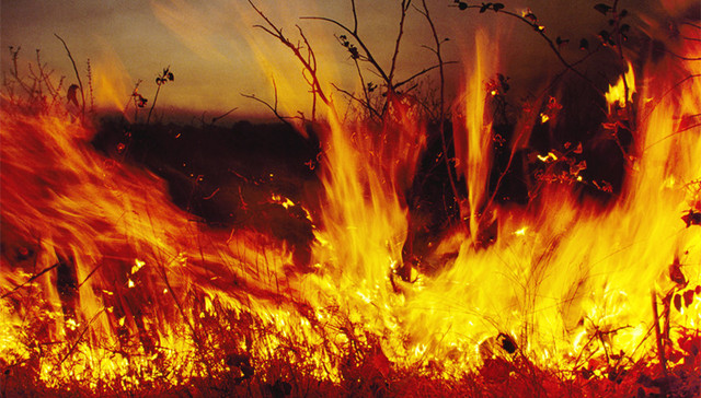 沁源火灾,,消防员