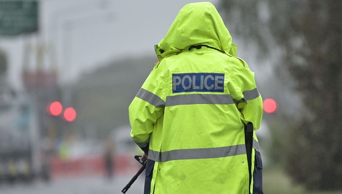 新西兰,枪击,控枪,嫌疑人