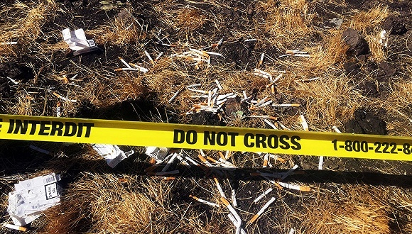 埃航坠毁客机黑匣子数据成功导出，驾驶舱录音曝光