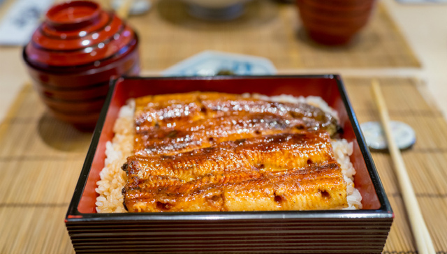 鳗鱼,日本,中国,捕捞,零售,涨价