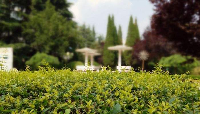 追梦人,五个一百,能量,网聚,璀璨网络,作品,滚石,人民利益,春山,引力