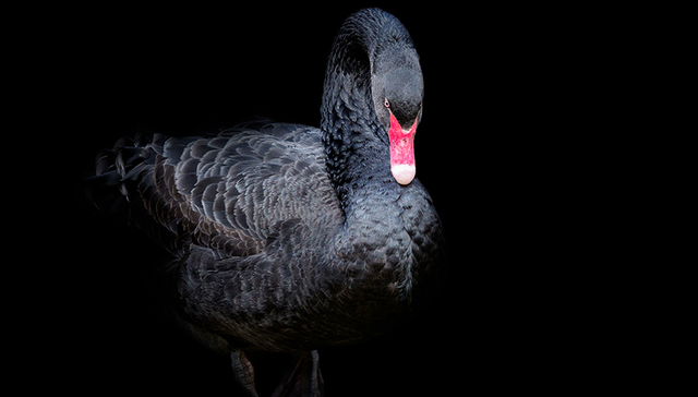 基金财产,私募基金,理财产品,黑天鹅,基金管理人,基金合同,业绩快报,银通,良卓,原创