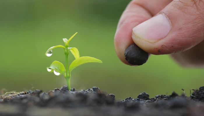 习近平,官僚主义,总书记,党的性质,力戒形式主义,痛点,四风,党中央,指挥棒,基层干部