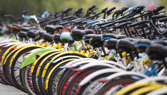 共享单车,执业药师,挂证