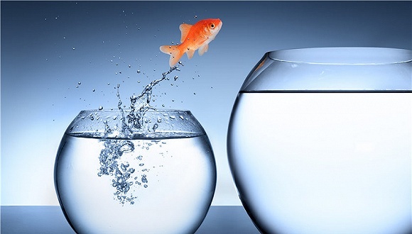 龙光；深圳；纪海鹏