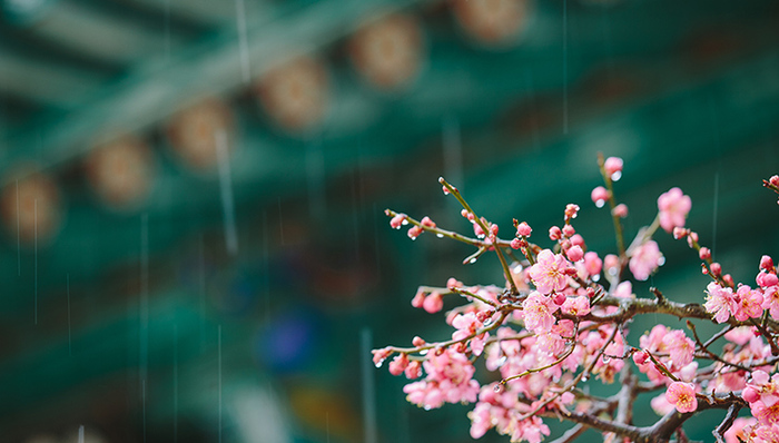降雨,北方地区,世界气象日,中央气象台,浮尘天气,大部,强对流天气,沙尘天气,气温变化,陕北地区