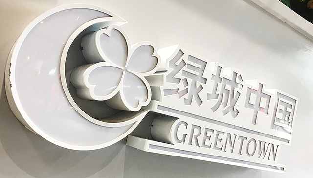 绿城,人寿,金融企业,金融领域,原创,张亚东,换血,手术,板块,保险资金