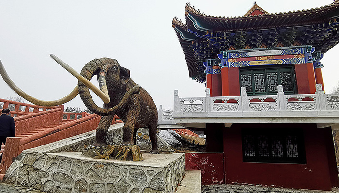 【界面早报】美联储今年不加息并拟减慢缩表进程 牡丹江毁林私建庄园涉事责任人被刑拘