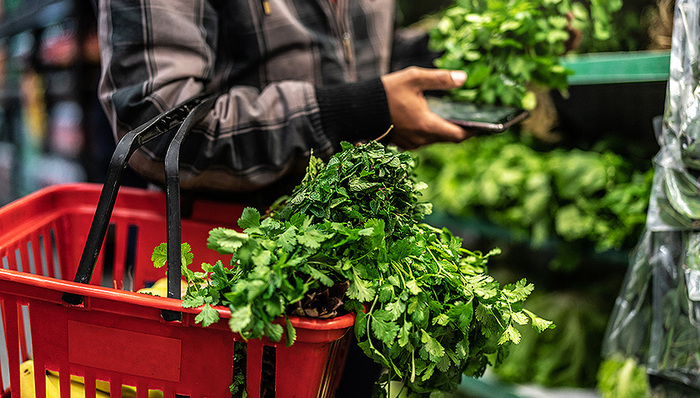 叮咚买菜，会昙花一现吗？