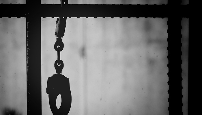 金玉莲,山东大学,运霸,云集品