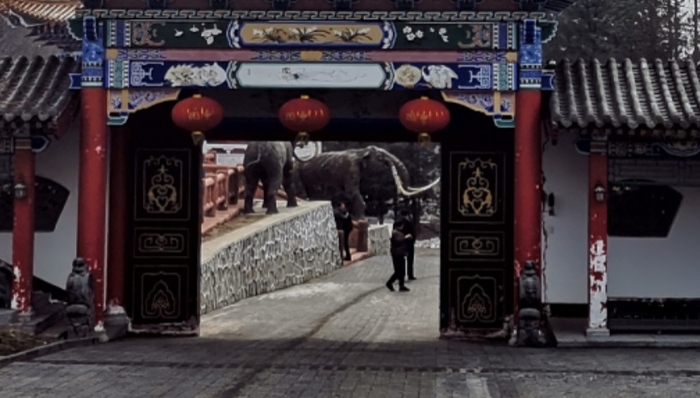 人民日报,曹园,国有林场