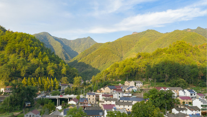 向着农业农村现代化进军——落实两会精神实施乡村振兴战略述评