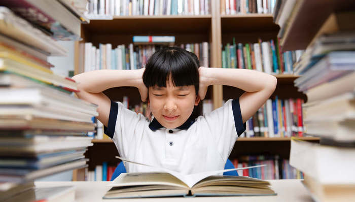 龙校,择校,培训机构