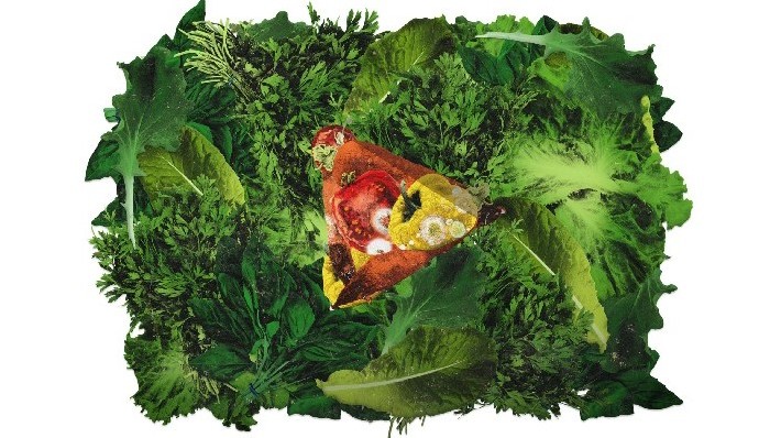 社交媒体,网红,素食主义