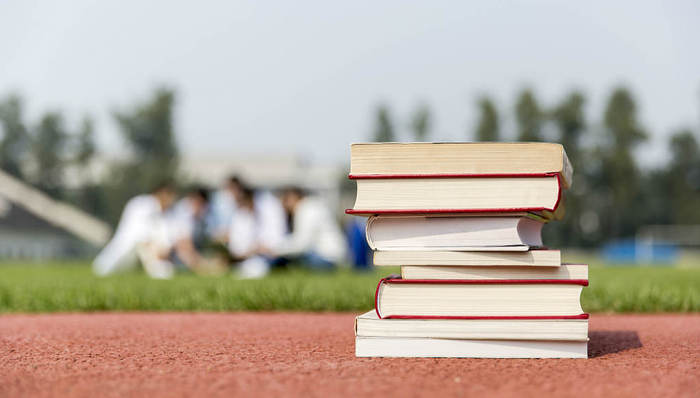 成实外.民办教育,国际教育