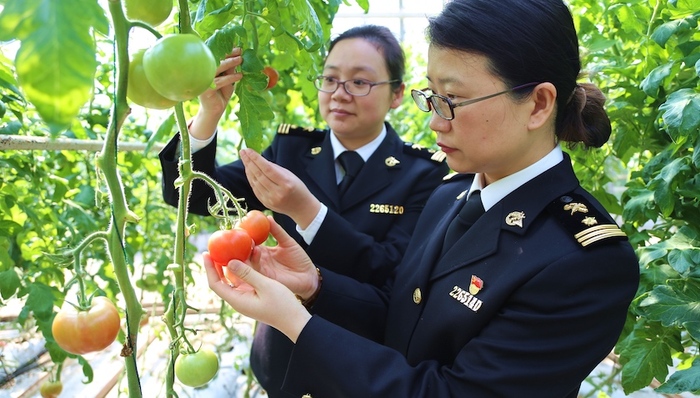 浦东海关，到港蔬菜，源头管理