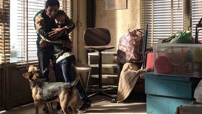 【文娱早报】意大利电影大卫奖公布获奖名单 英国电影和电视艺术学院公布电视奖提名名单