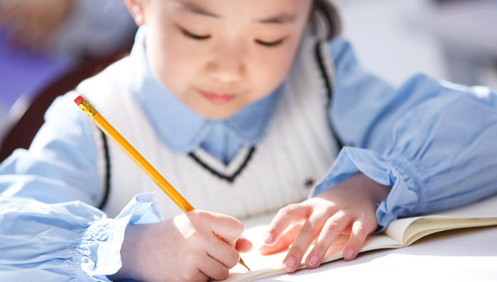 龙校,择校,小升初